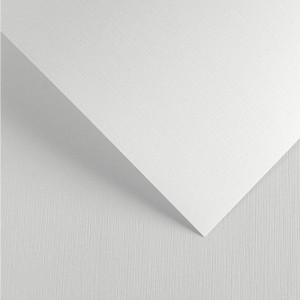 Papier Wizytówkowy Argo 240g/m2 Płótno Biały