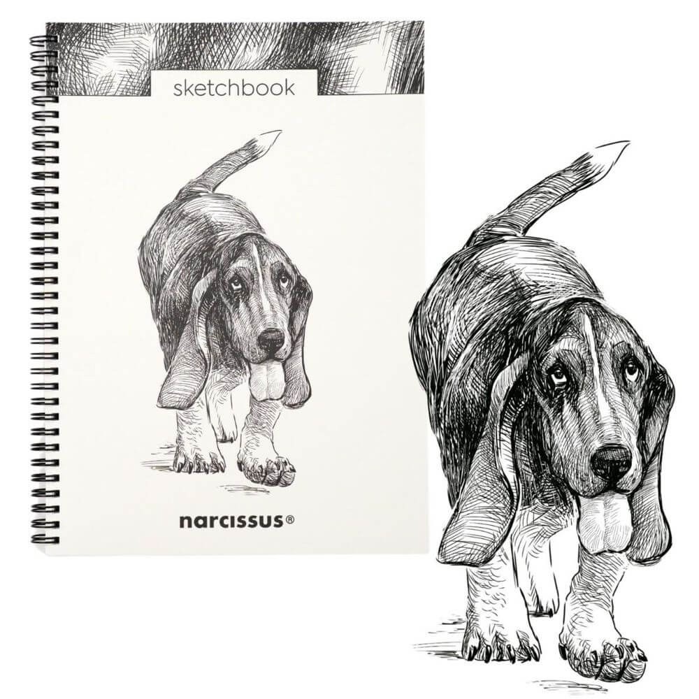 40725 Kołoszkicownik A4 Narcissus Pies Basset.jpg