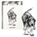 40725 Kołoszkicownik A4 Narcissus Pies Basset.jpg