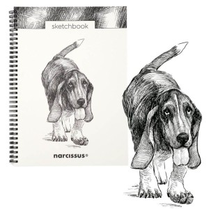 Kołoszkicownik A4/50 Narcissus Pies Basset