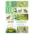 HA 3808 2030-FR Blok Deco A416 Happy Color Forest.jpg