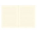 346674_4 Bullet Journal Peter Pauper Midi For I Know the Plans.jpg
