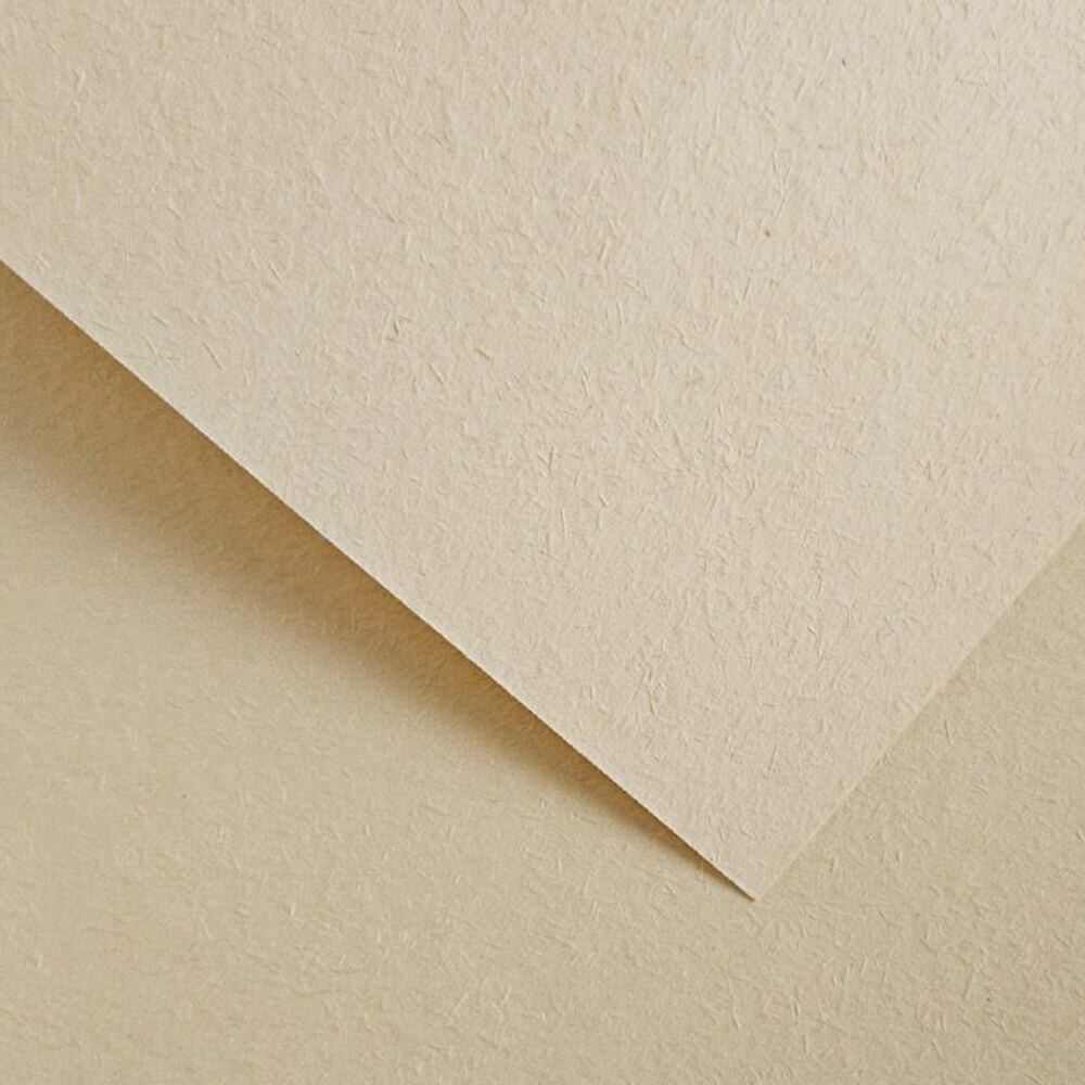 205611 Papier wiz. Argo Wood Krem Jasny 220.jpg