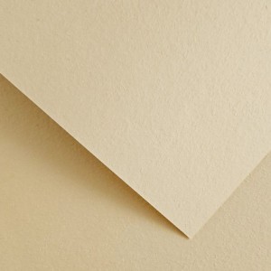 Papier Wizytówkowy Argo 220g/m2 Wood Kremowy 