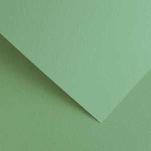 Papier Wizytówkowy Argo 220g/m2 Sawanna Szałwiowy