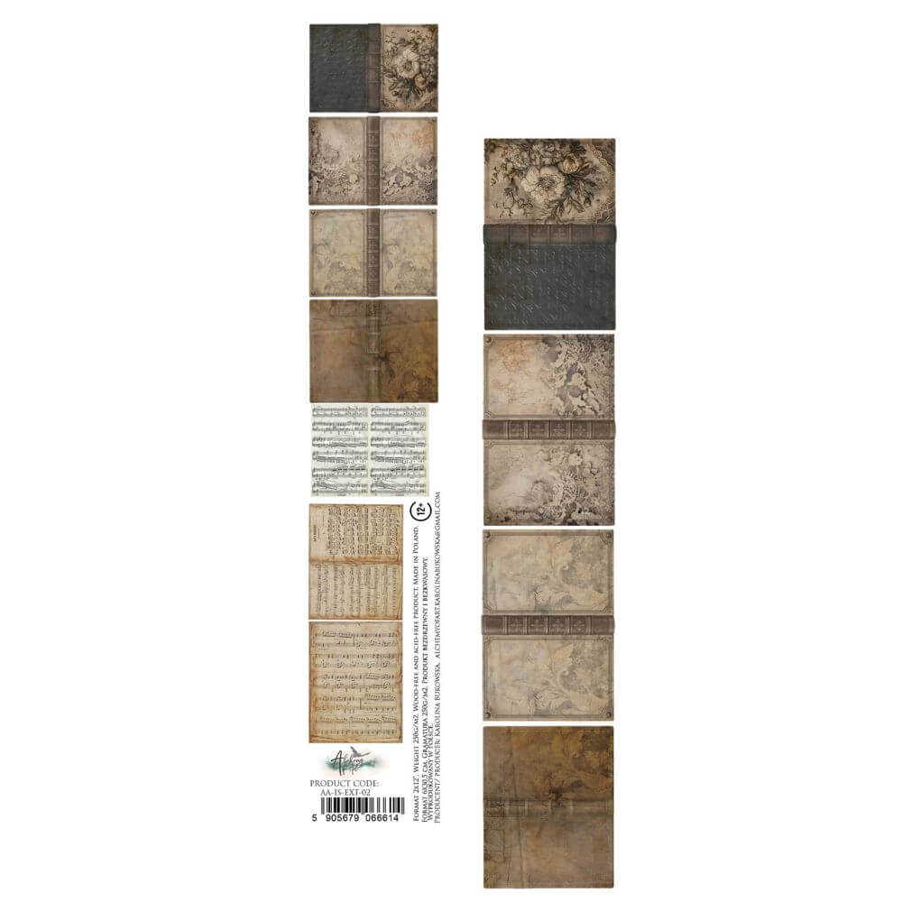 AA-IS-EXT-02 Pasek 2x12 Alchemy In Silence 2.jpg