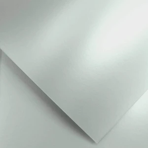 Papier Wizytówkowy Argo 220g/m2 Millenium Srebrny