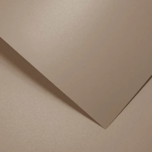 Papier Wizytówkowy Argo 220g/m2 Millenium Nude