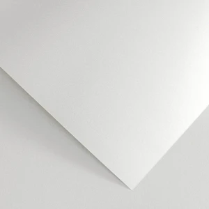 Papier Wizytówkowy Argo 210g/m2 Pearl Diamentowa Biel