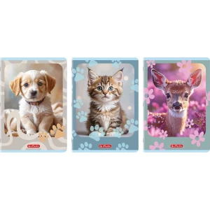 Zeszyt Linia Wąska Kolor A4/32 Herlitz Animals