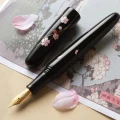 Pióro Wieczne Wancher DP Echizen Urushi Sakura Zukiyo 6.jpg