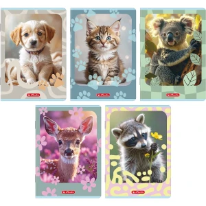 Zeszyt Kratka A5/16 Herlitz Animals