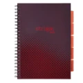 Kołozeszyt Kratka A4100 Strigo Basic Bordo.jpg