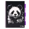 Kołozeszyt Kratka A4100 Strigo Panda.jpg