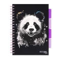 Kołozeszyt Kratka B5100 Strigo Panda.jpg
