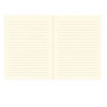 346674_4 Bullet Journal Peter Pauper Midi For I Know the Plans.jpg