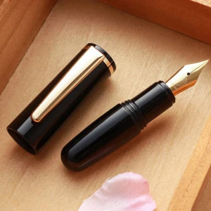 Pióro Wieczne Wancher PuChiCo Penguin Black F