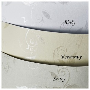 Papier Wizytówkowy Argo 100g/m2 Liana Kremowy