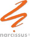 Narcissus